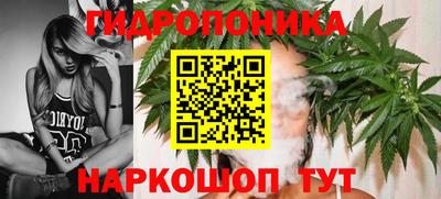 МДПВ Волгодонск