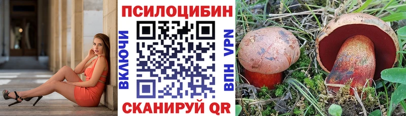дарнет шоп  Киров  MEGA зеркало  Галлюциногенные грибы Cubensis 