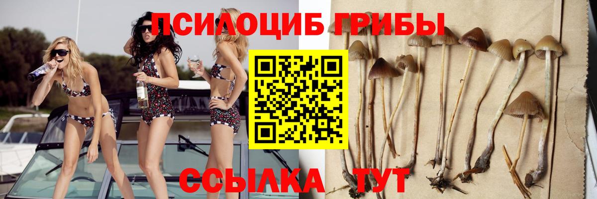 Псилоцибиновые грибы ЛСД Киров